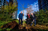 Royal Greenwich -Tree planting in Maribor Park /Slovenia Minister Visit
