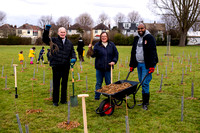 Royal Greenwich - Community Tree Planting - Altash Gardens , SE9