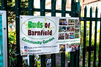 Buds of Barnfield Community Garden