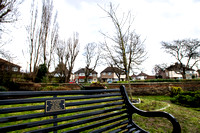 Royal Greenwich - Covid Memorial Tree & Bench - Plumstead Gardens