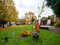 Royal Greenwich - Tree Planting/ Parks Winter 2023