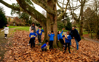 Royal Greenwich - National Tree Week - Oxleas Woods