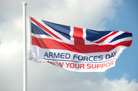 Great Get Together Festival/Armed Forces Day 2015